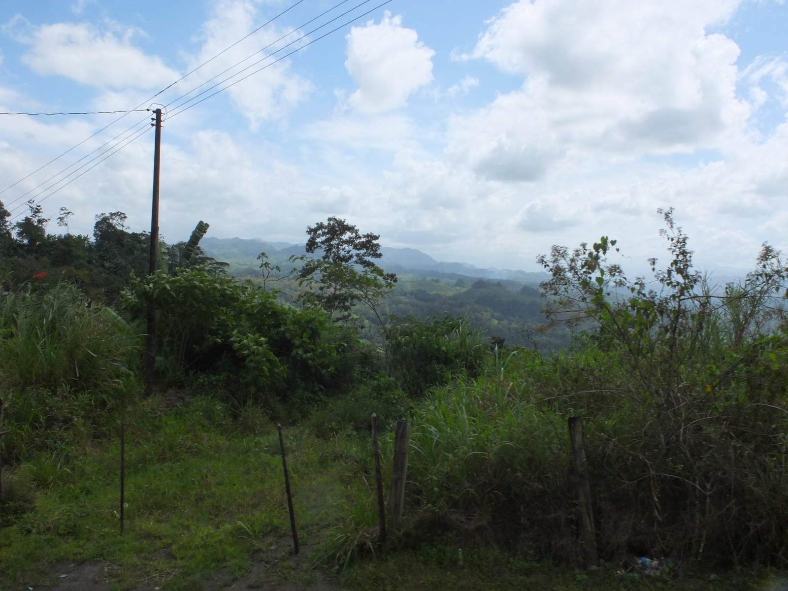 照片 哥斯达黎加(Costa Rica) 图里亚尔瓦(Turrialba) 2015-03 78