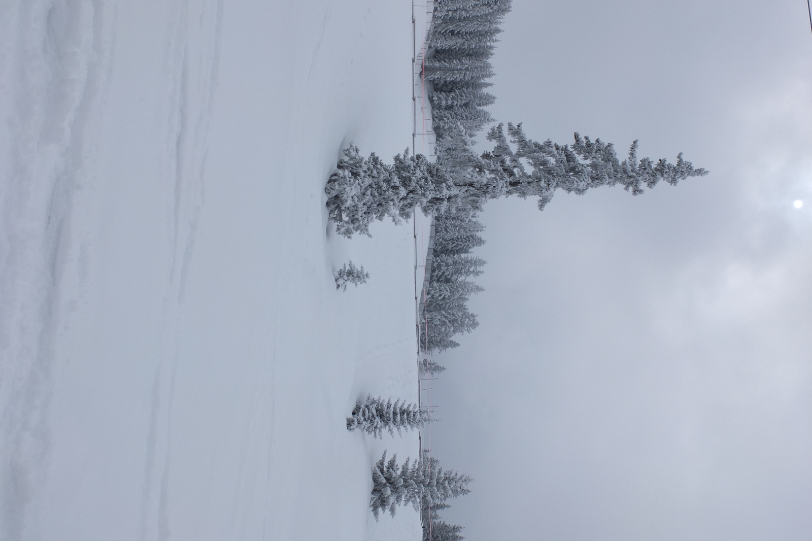 照片 法国(France) 三峡谷滑雪场(Les 3 Vallees) 2013-03 398
