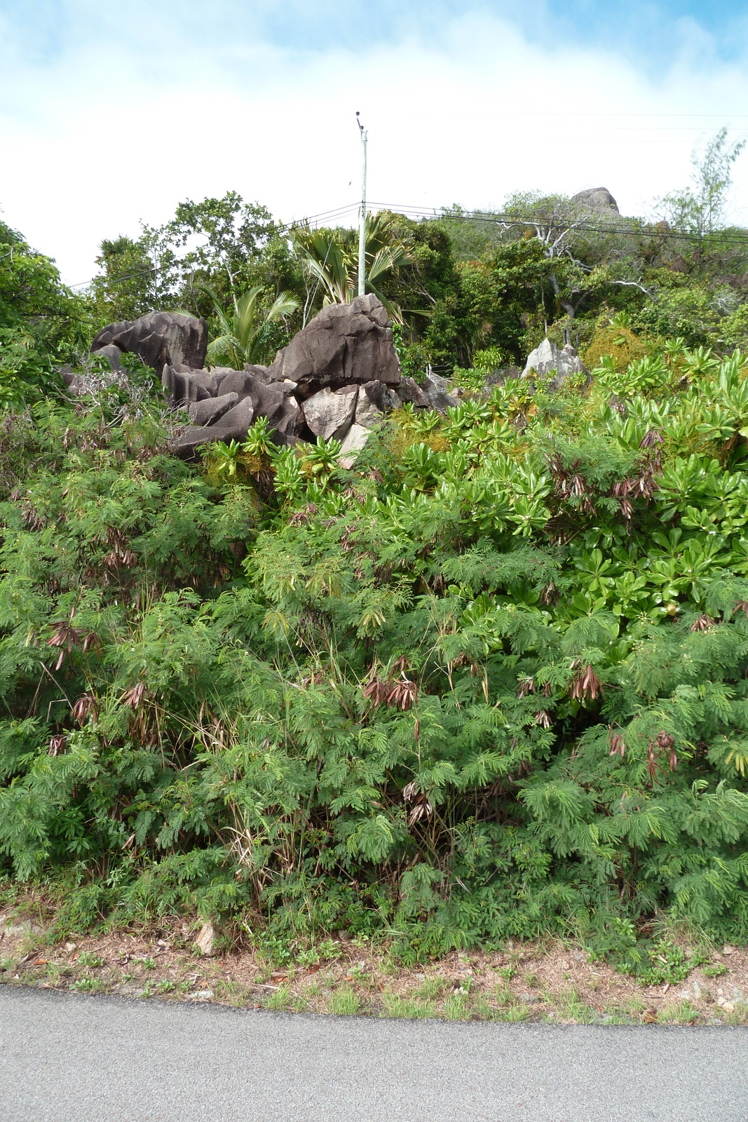 照片 塞舌尔(Seychelles) 普拉兰岛(Praslin) 2011-10 13