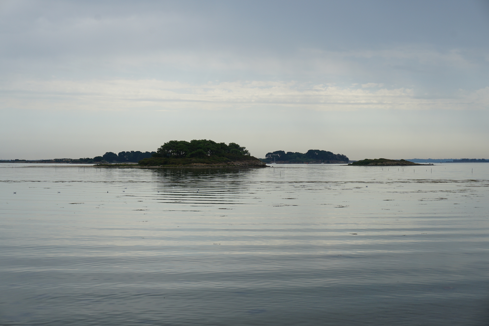 照片 法国(France) 僧侣岛(Ile-aux-Moines) 2016-08 12