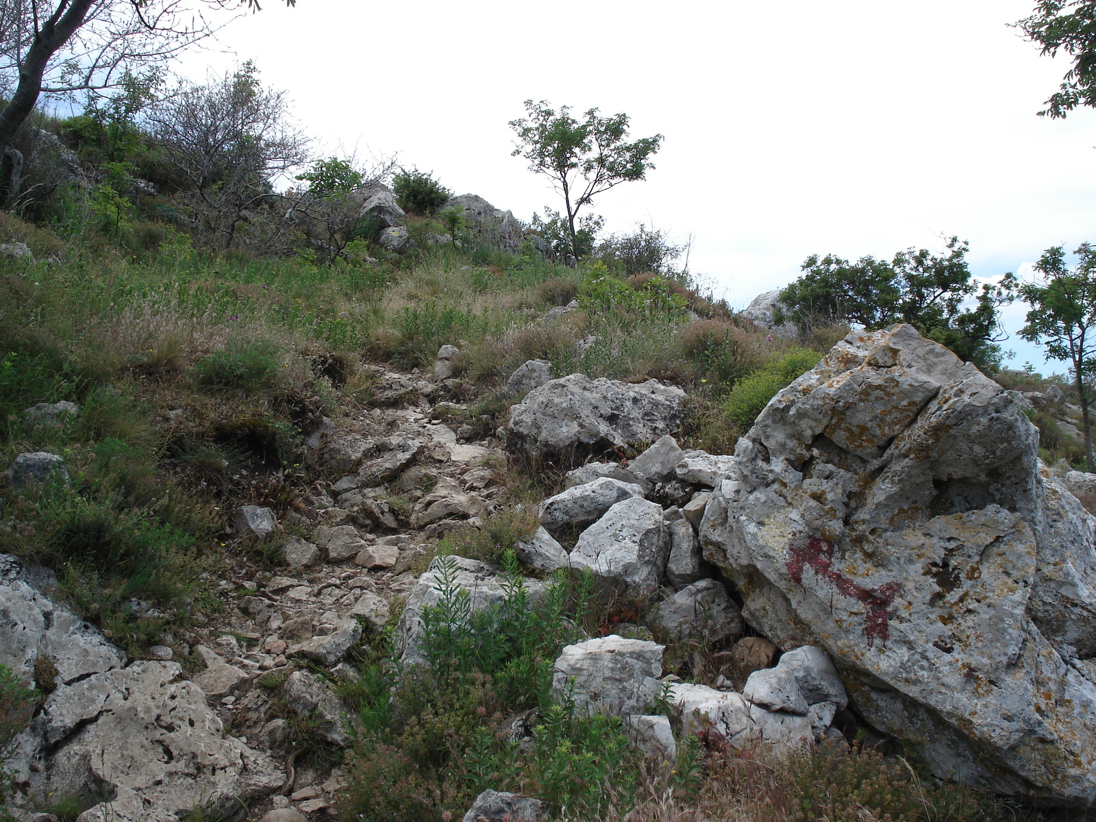 照片 法国(France) 旺斯(Vence) 巴乌山(Baou) 2006-06 19