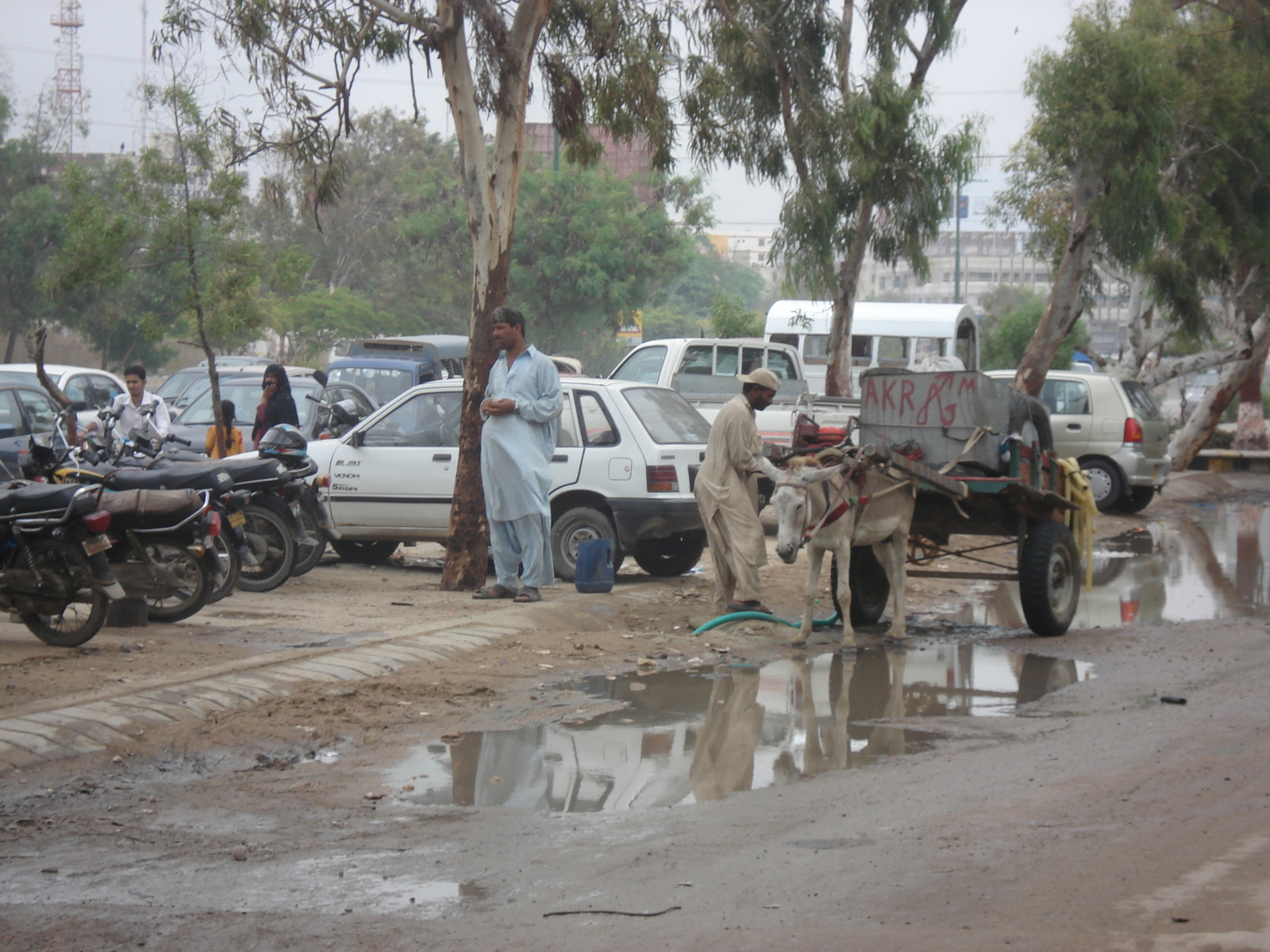 照片 巴基斯坦(Pakistan) 卡拉奇(Karachi) 2006-08 80