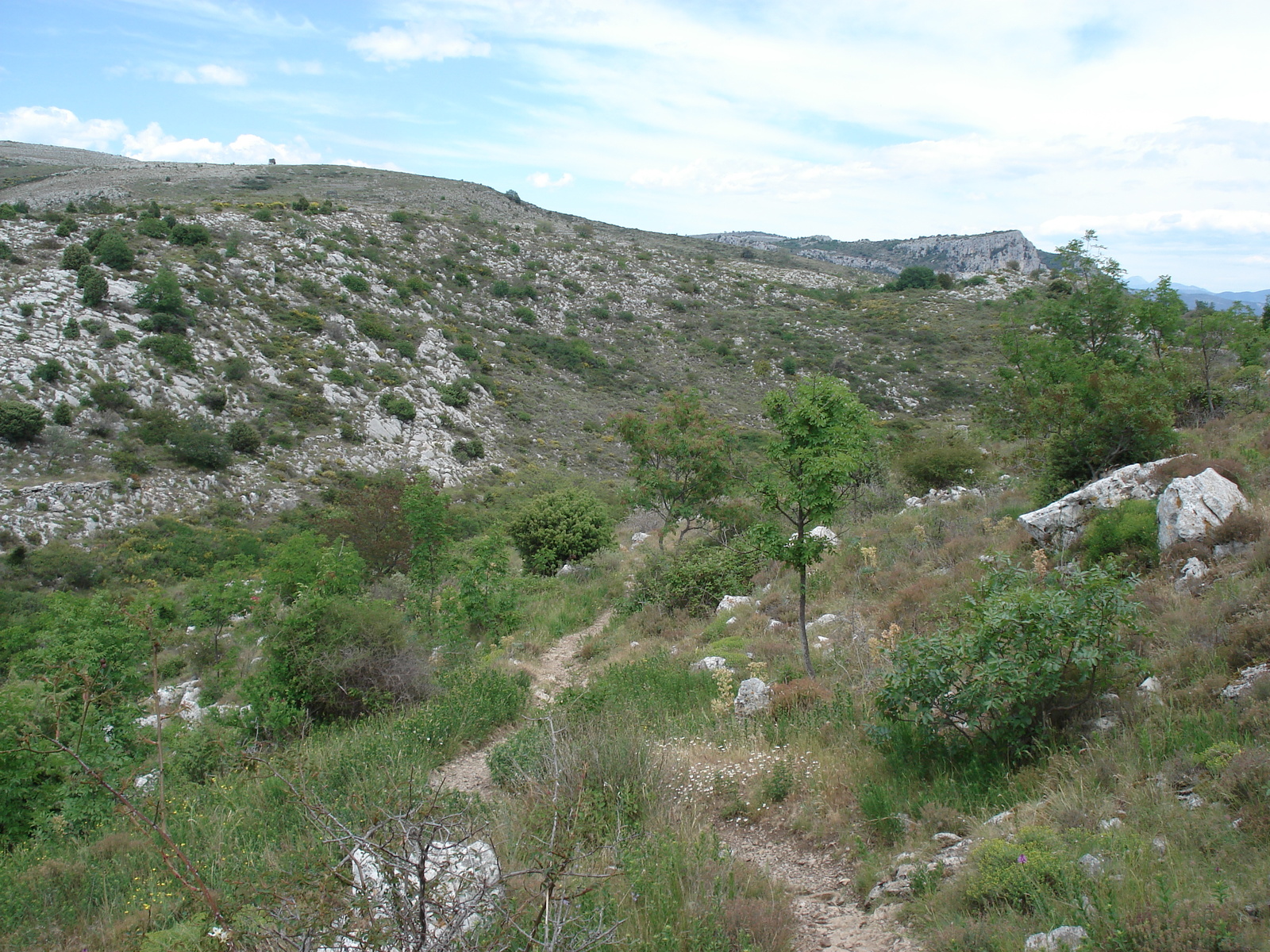 照片 法国(France) 旺斯(Vence) 巴乌山(Baou) 2006-06 29