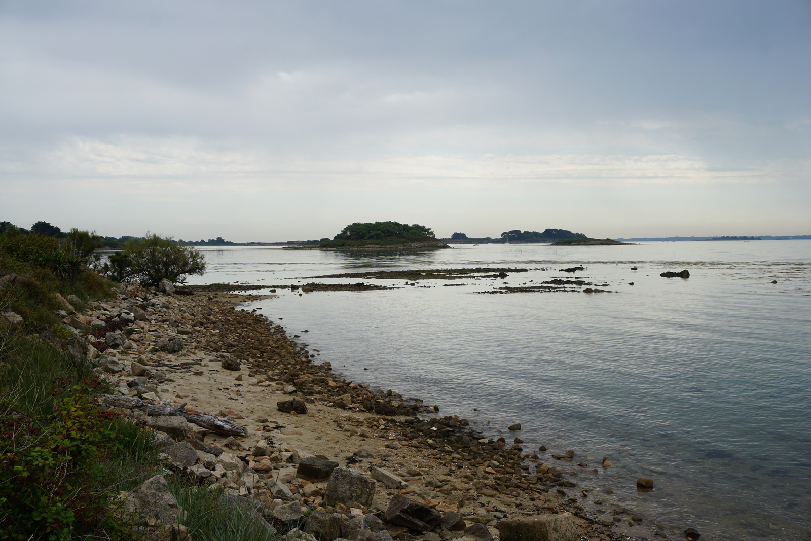 照片 法国(France) 僧侣岛(Ile-aux-Moines) 2016-08 36