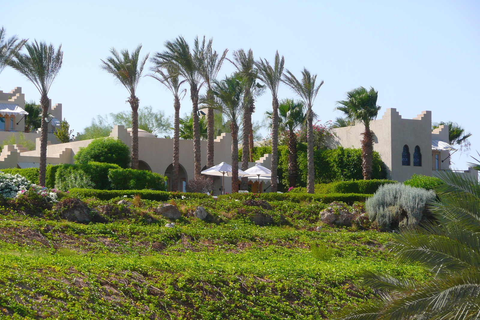 照片 埃及(Egypt) 沙姆沙伊赫(Sharm el Sheikh) 四季酒店(Four Seasons Hotel) 四季酒店海滩(Four Seasons Beach) 2008-06 16