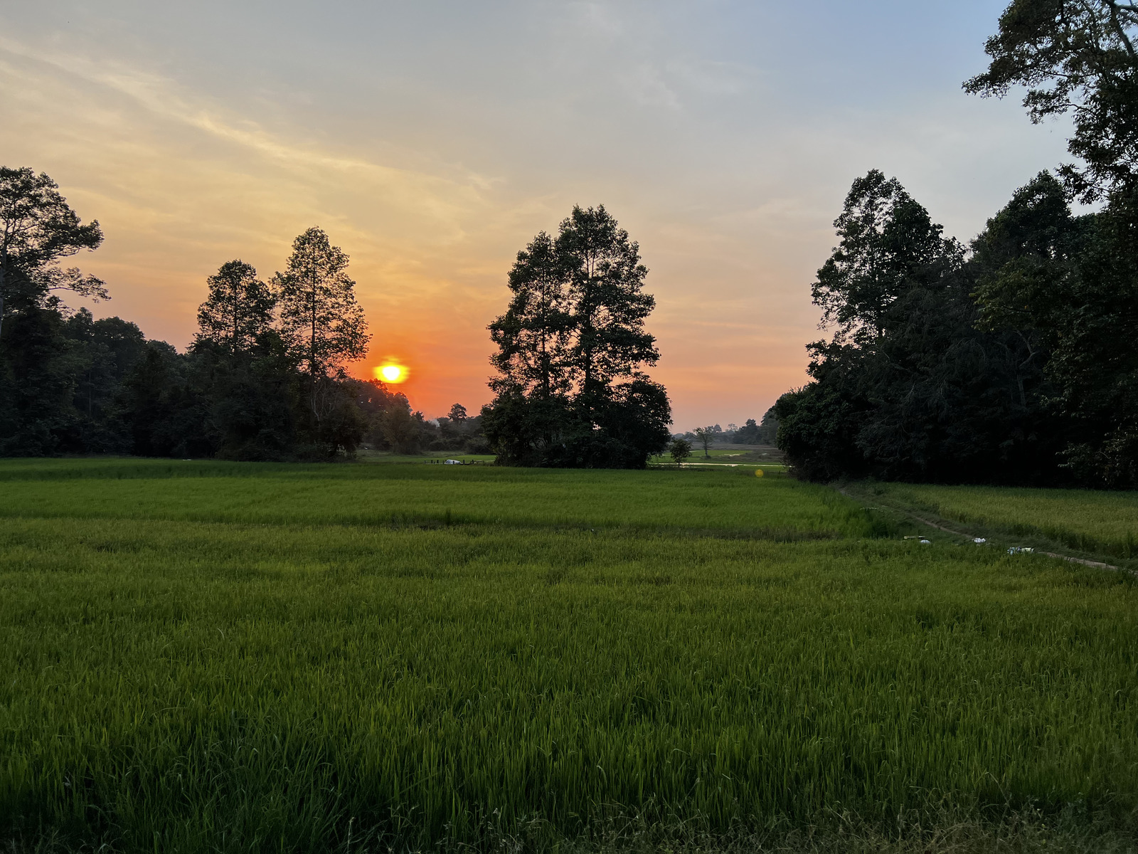 照片 柬埔寨(Cambodia) 暹粒(Siem Reap) 2023-01 128
