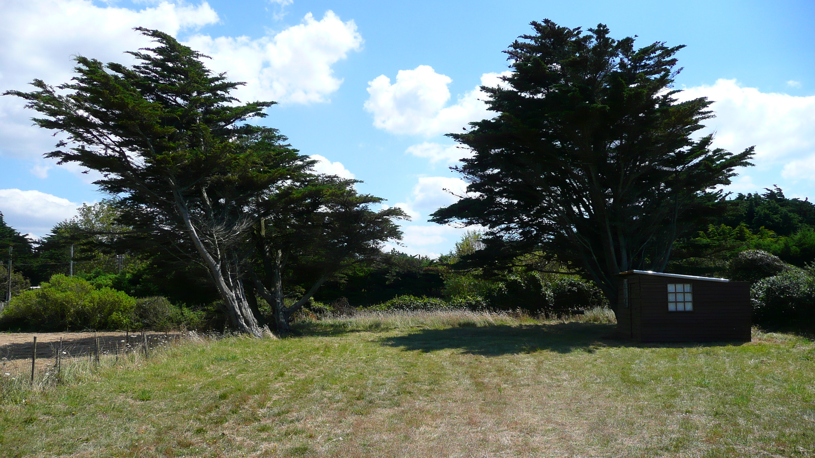 照片 法国(France) 普雷法耶(Prefailles) 圣吉尔达角(La pointe Saint Gildas) 2007-08 9