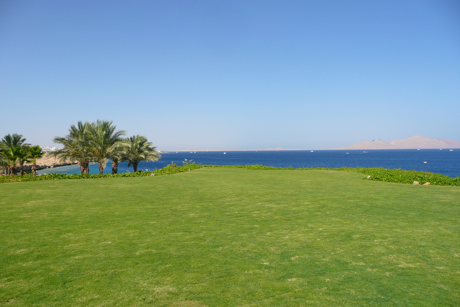 照片 埃及(Egypt) 沙姆沙伊赫(Sharm el Sheikh) 四季酒店(Four Seasons Hotel) 四季酒店海滩(Four Seasons Beach) 2008-06 22