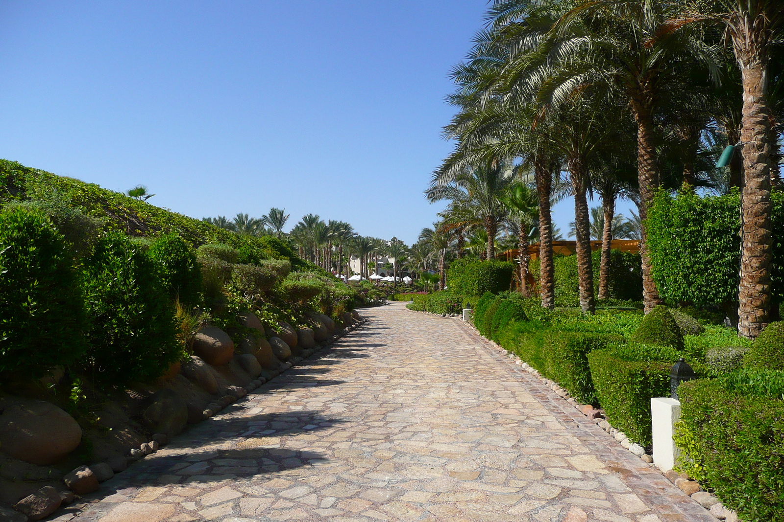 照片 埃及(Egypt) 沙姆沙伊赫(Sharm el Sheikh) 四季酒店(Four Seasons Hotel) 四季酒店海滩(Four Seasons Beach) 2008-06 17