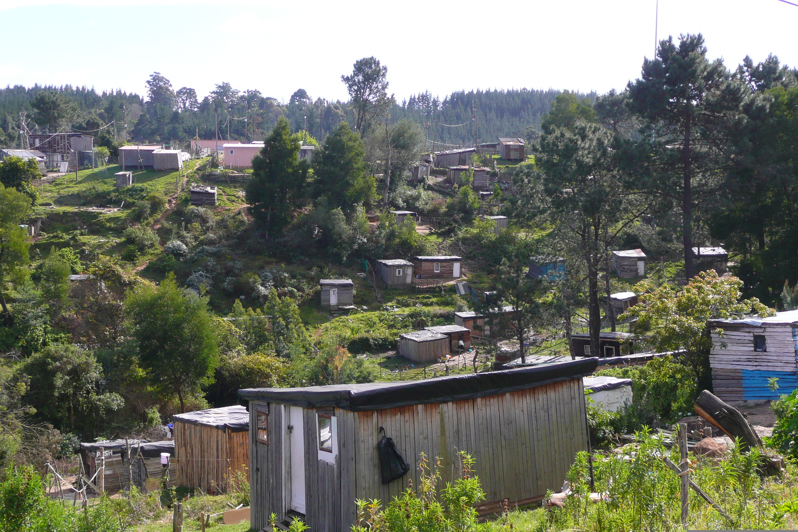 照片 南非(South Africa) 克尼斯纳(Knysna) 2008-09 102