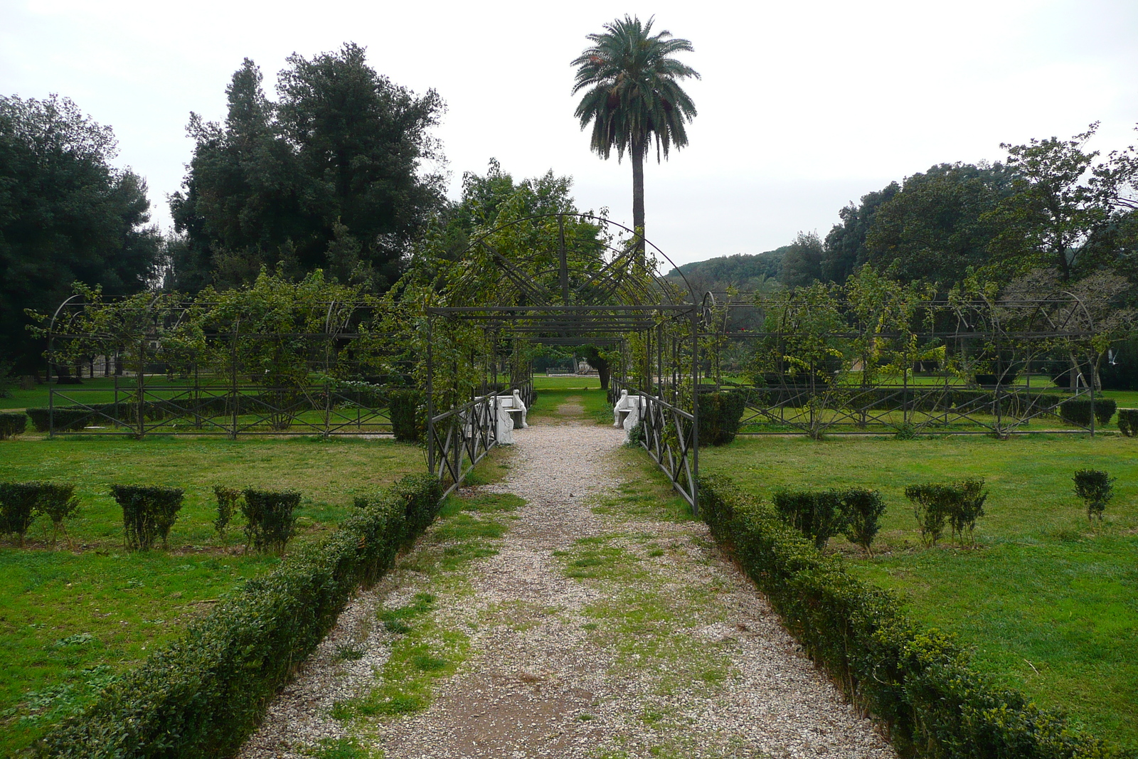 照片 意大利(Italy) 罗马(Rome) 多里亚·潘菲利别墅公园(Villa Doria Pamphili) 2007-11 33