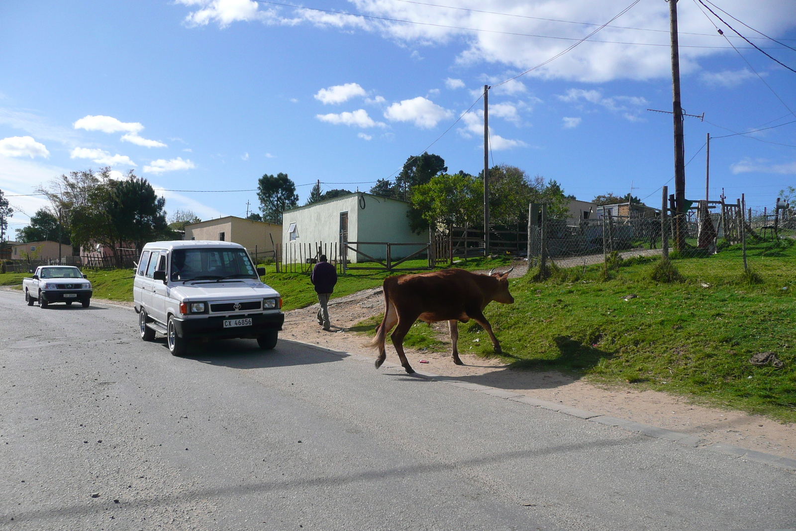 照片 南非(South Africa) 克尼斯纳(Knysna) 2008-09 94