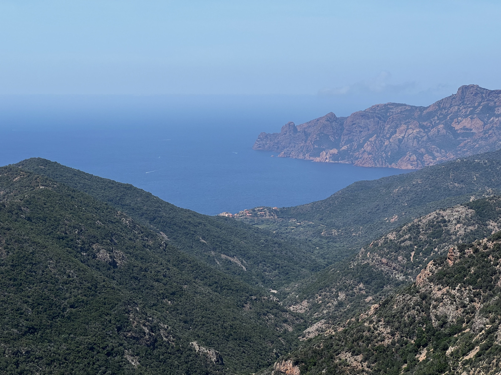 照片 法国(France) 科西嘉岛(Corsica) 奥萨尼(Osani) 2023-06 2