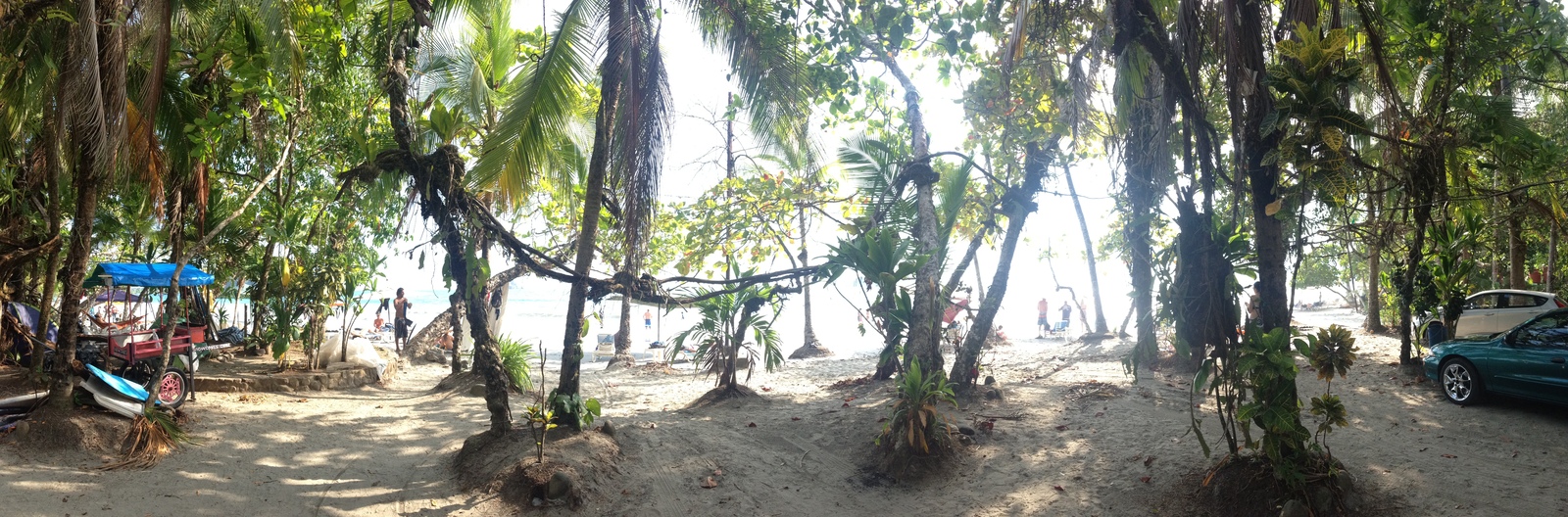 照片 哥斯达黎加(Costa Rica) 曼努埃尔安东尼奥(Manuel Antonio) 2015-03 305