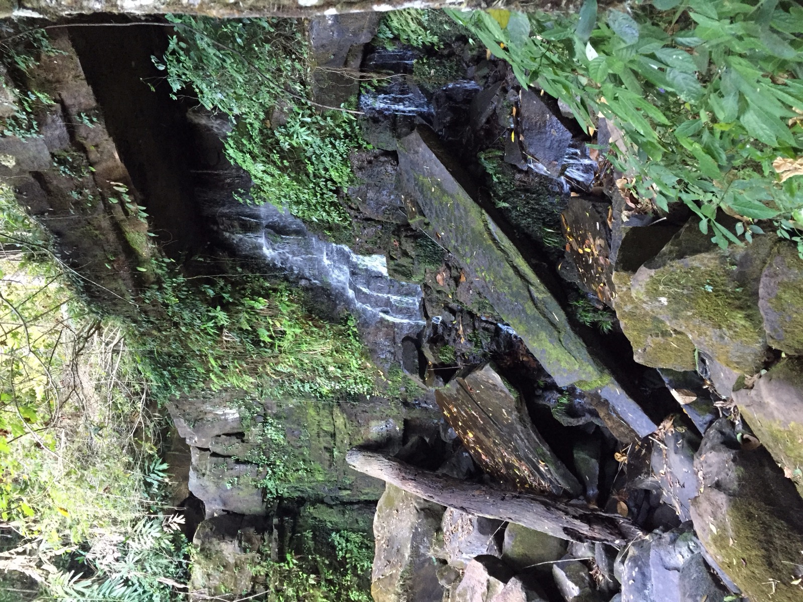 照片 泰国(Thailand) 普欣隆卡国家公园(Phu Hin Rong Kla National Park) 2014-12 226