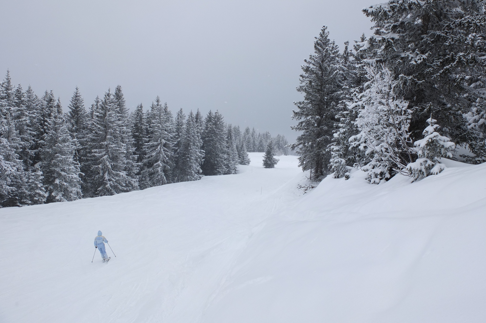 照片 法国(France) 三峡谷滑雪场(Les 3 Vallees) 2013-03 62