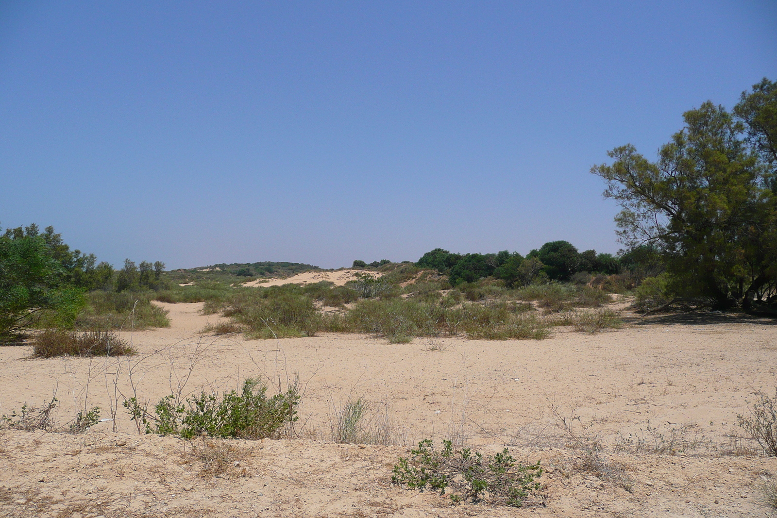 照片 以色列(Israel) 尼灿(Nitzan) 2007-06 92