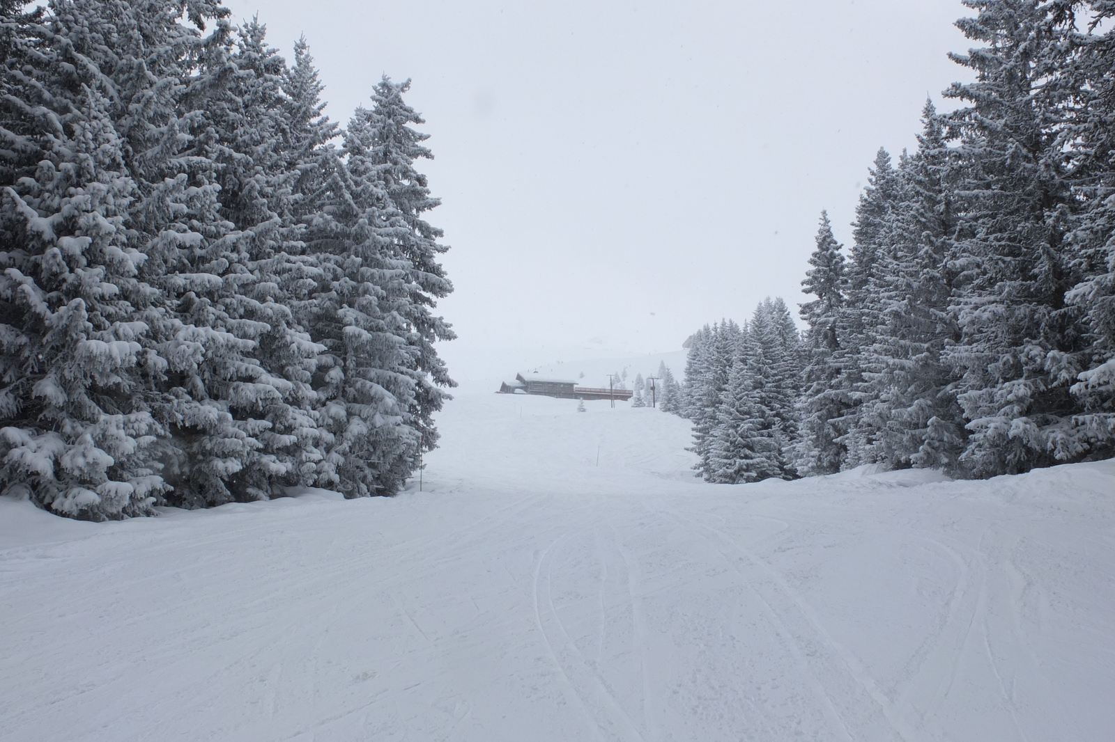 照片 法国(France) 三峡谷滑雪场(Les 3 Vallees) 2013-03 38
