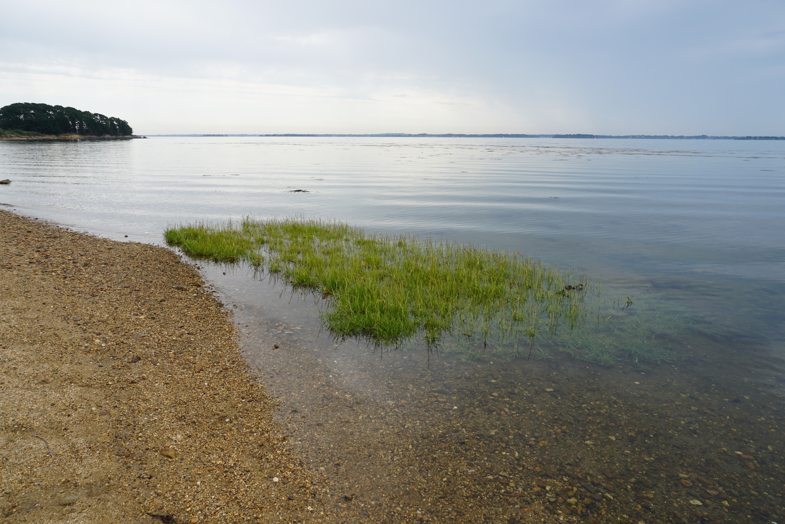 照片 法国(France) 僧侣岛(Ile-aux-Moines) 2016-08 32