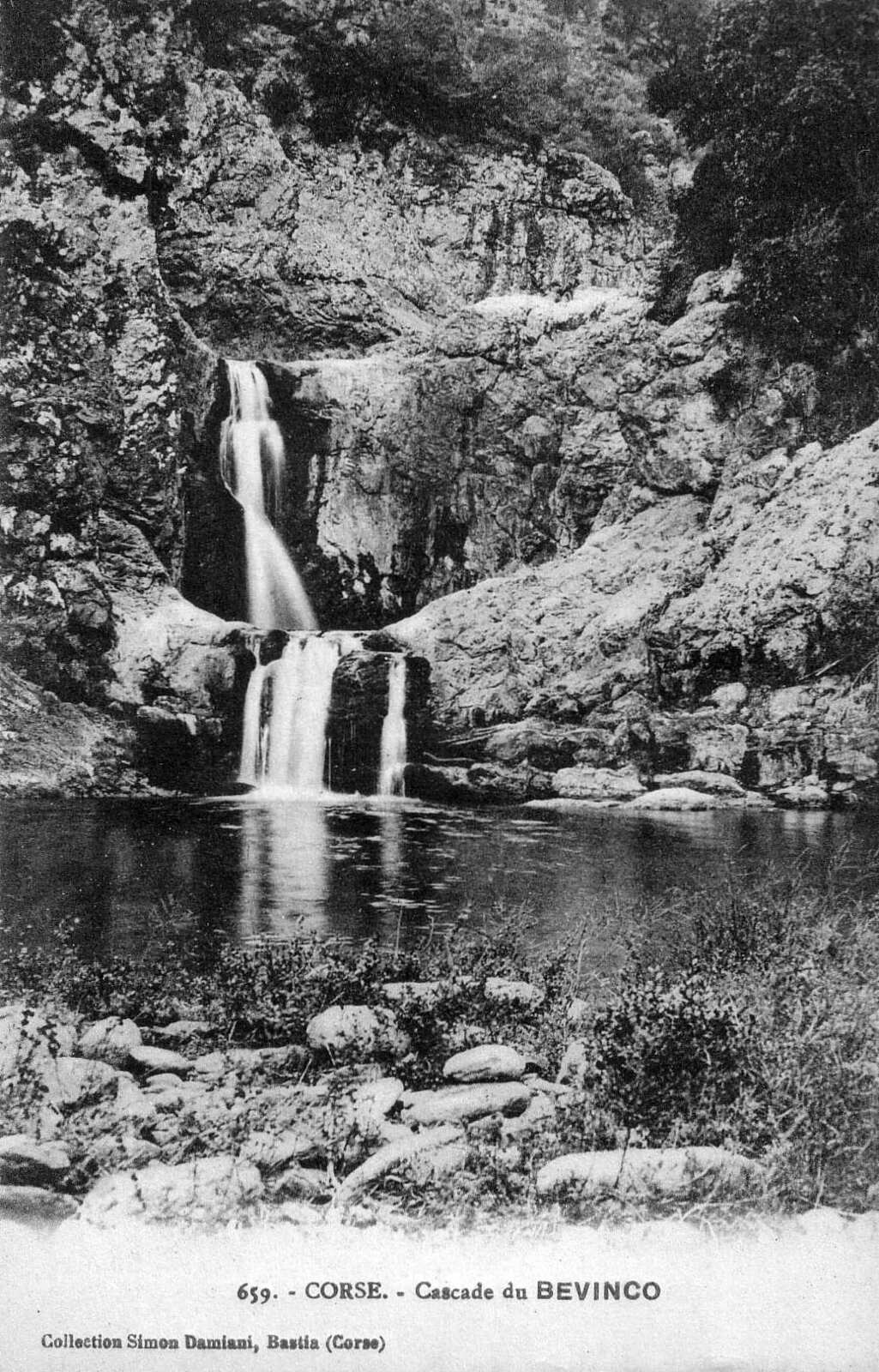 照片 法国(France) 科西嘉岛(Corsica) 老明信片(Old Postcards) 1900-01 249
