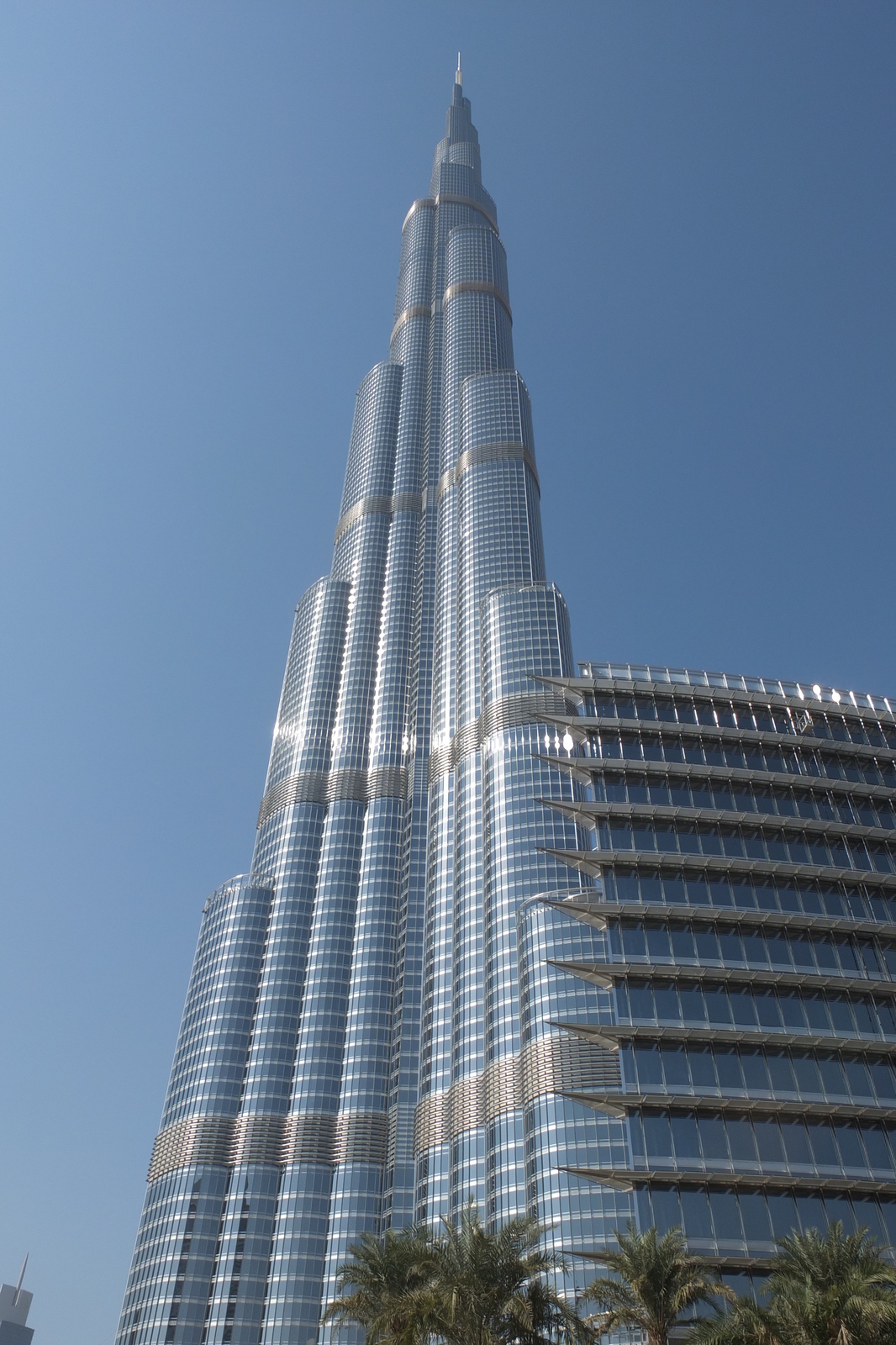 照片 阿联酋(United Arab Emirates) 迪拜(Dubai) 迪拜购物中心(The Dubai Mall) 2011-12 27