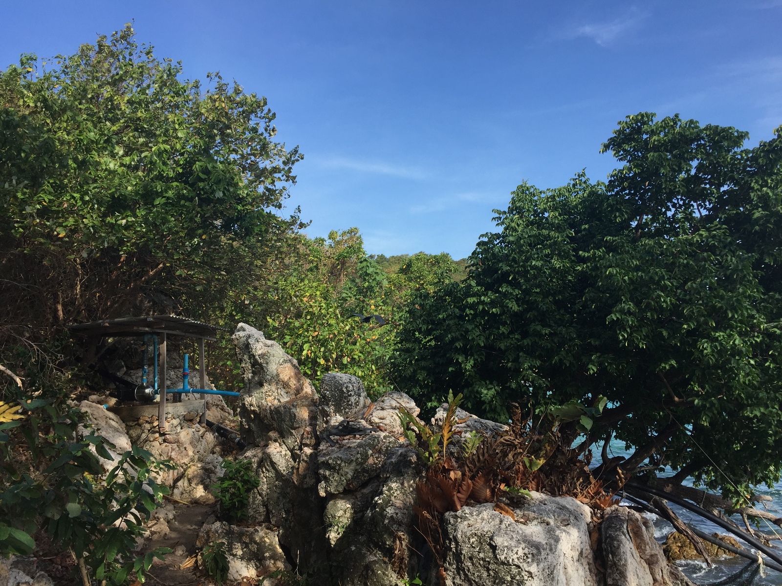 照片 泰国(Thailand) 沙美岛(Ko Samet) 2016-12 35