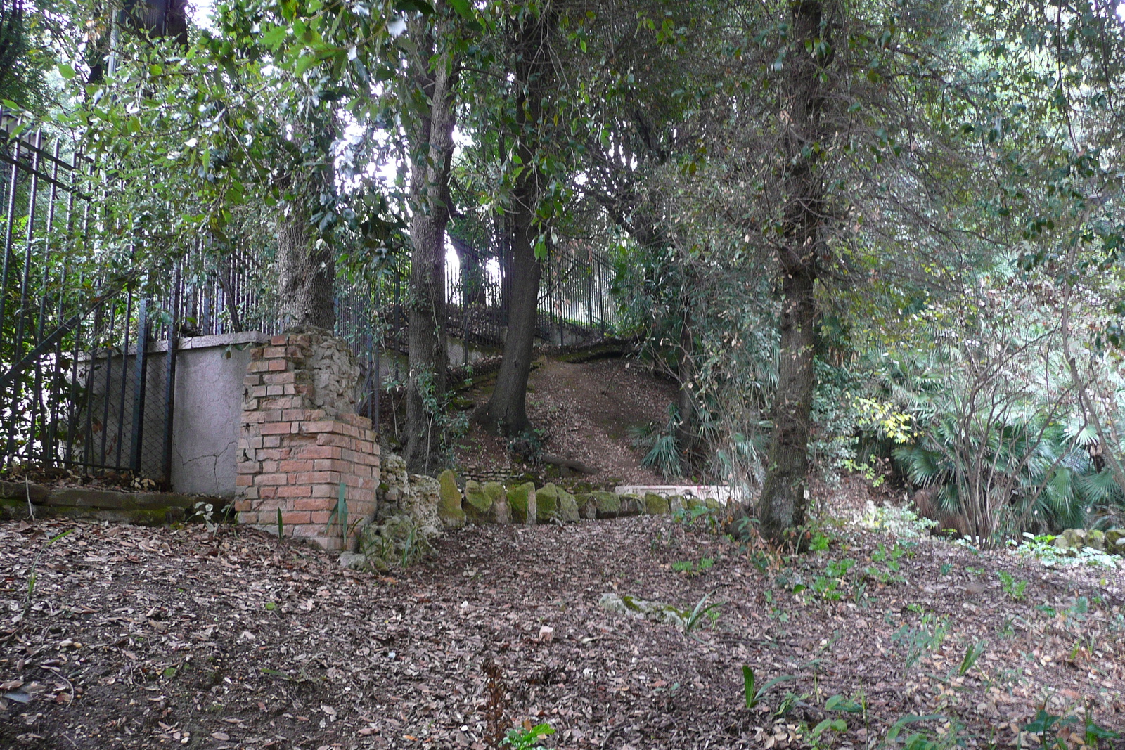 照片 意大利(Italy) 罗马(Rome) 多里亚·潘菲利别墅公园(Villa Doria Pamphili) 2007-11 32