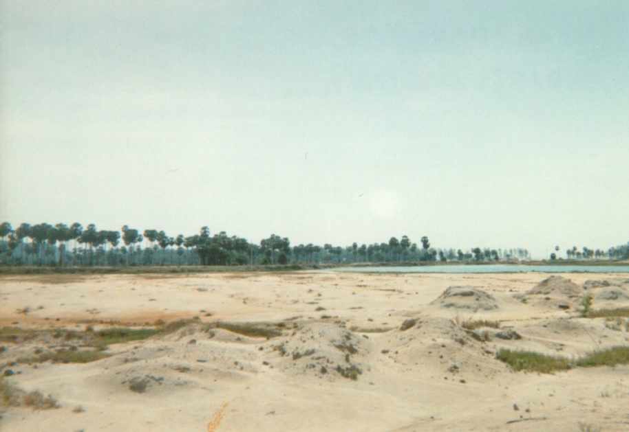 照片 泰国(Thailand) 普吉岛(Phuket) 1989-04 27