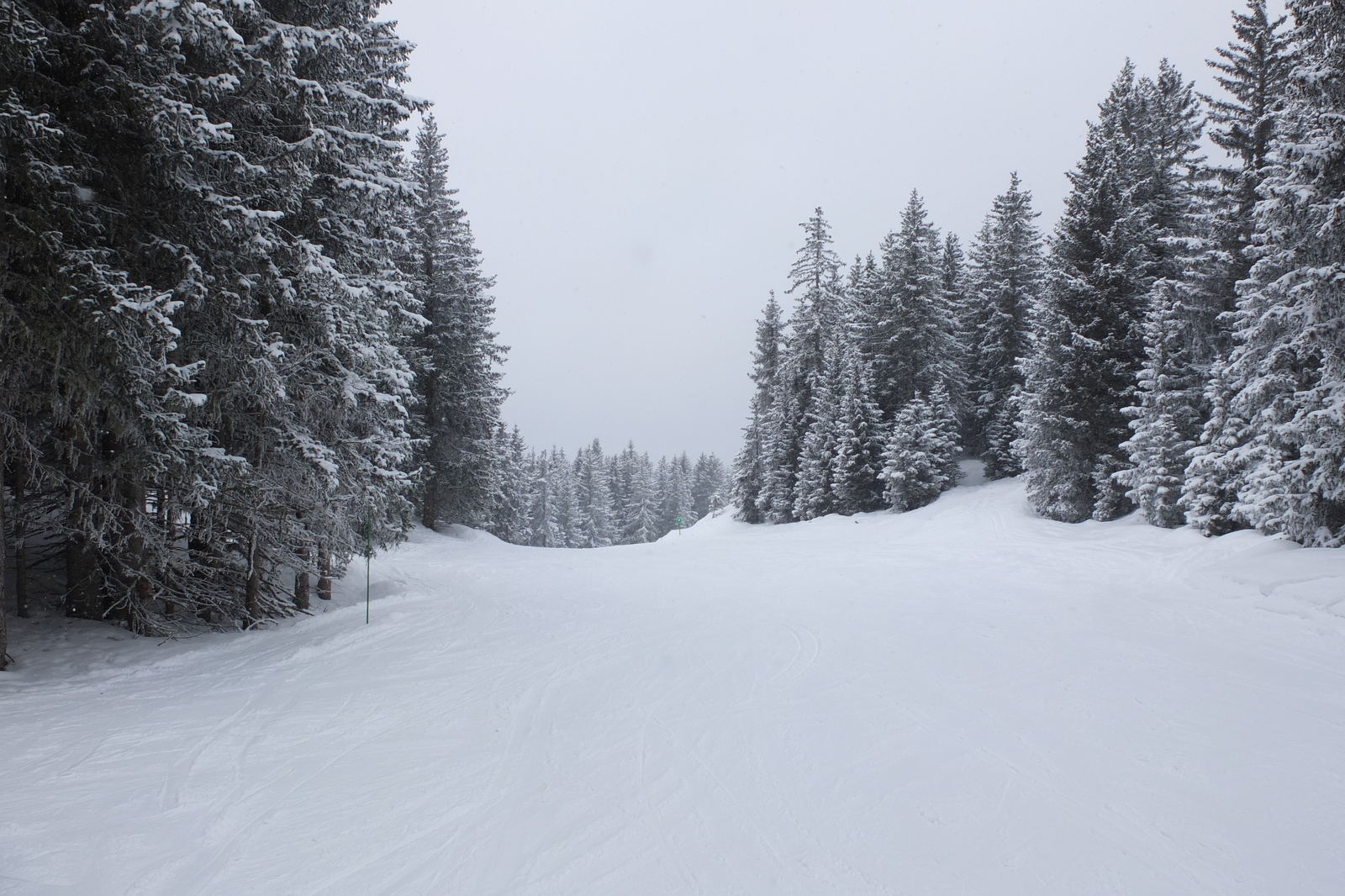 照片 法国(France) 三峡谷滑雪场(Les 3 Vallees) 2013-03 425