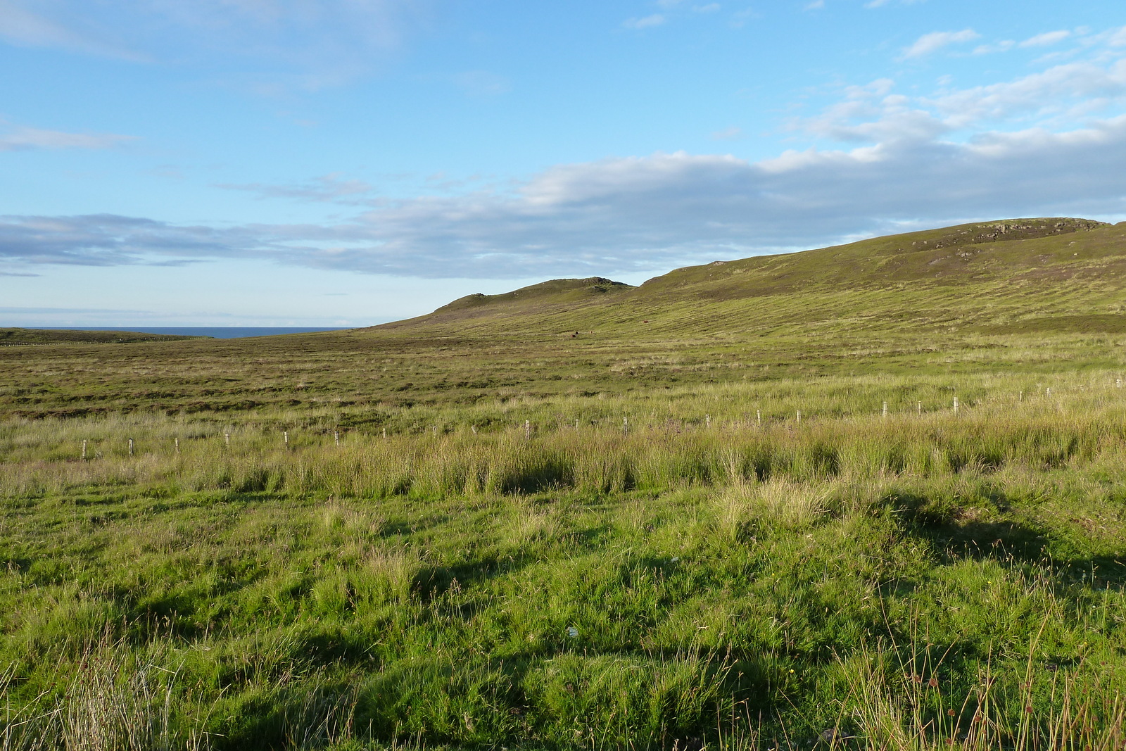 照片 英国(United Kingdom) 苏格兰(Scotland) 2011-07 235