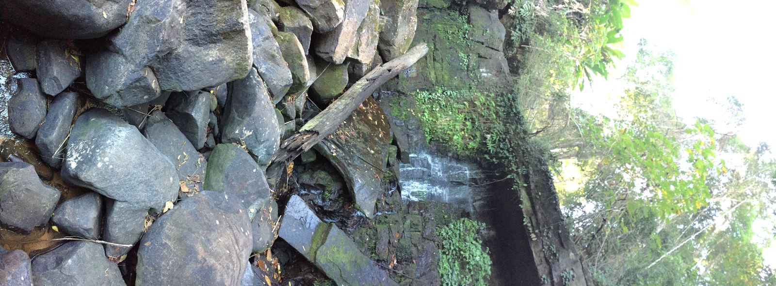 照片 泰国(Thailand) 普欣隆卡国家公园(Phu Hin Rong Kla National Park) 2014-12 196