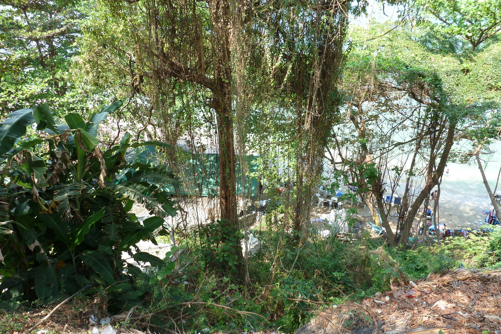 照片 泰国(Thailand) 芭提雅(Pattaya) 惬意海滩(Cosy Beach) 2011-01 54
