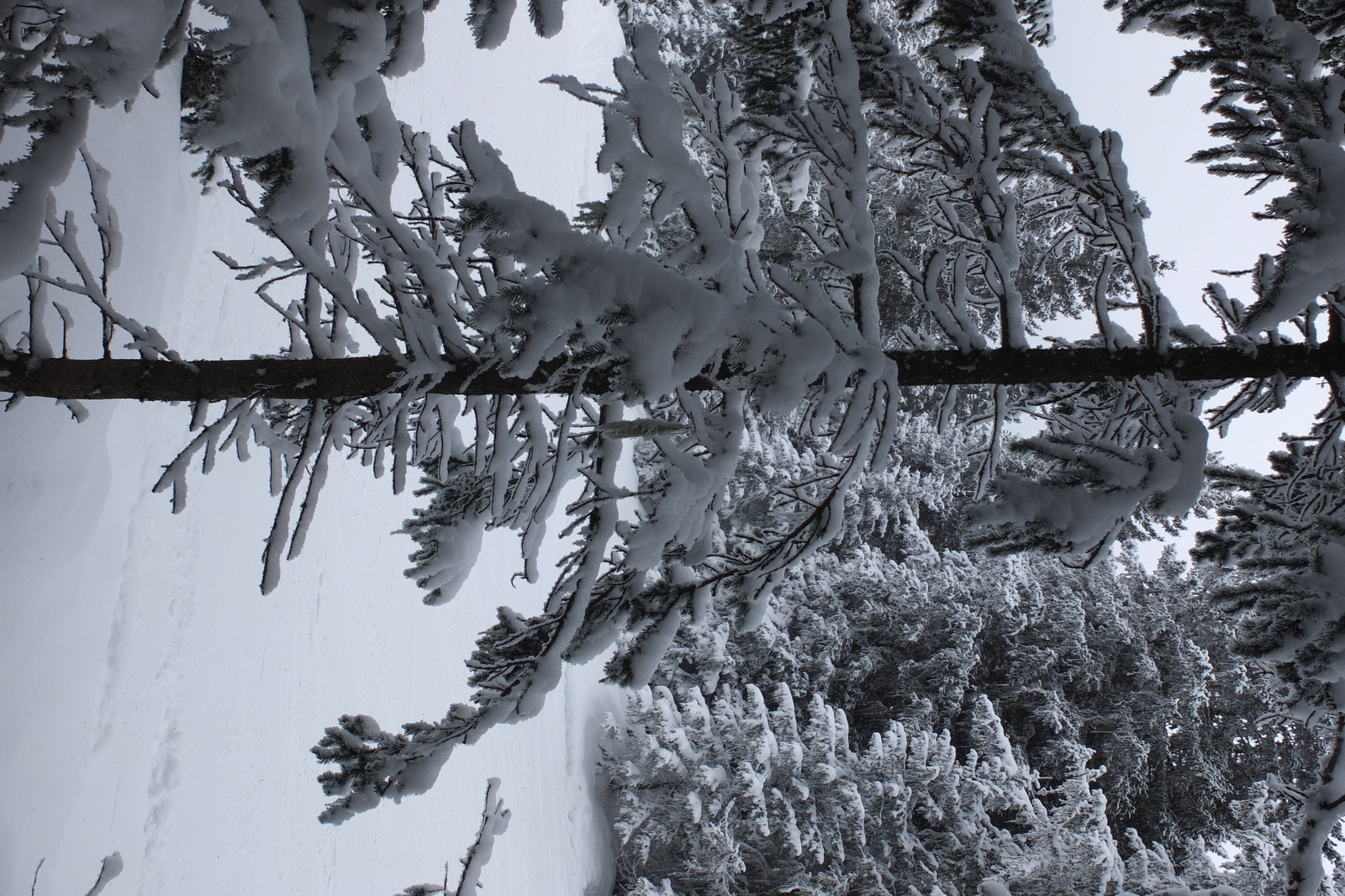 照片 法国(France) 三峡谷滑雪场(Les 3 Vallees) 2013-03 6