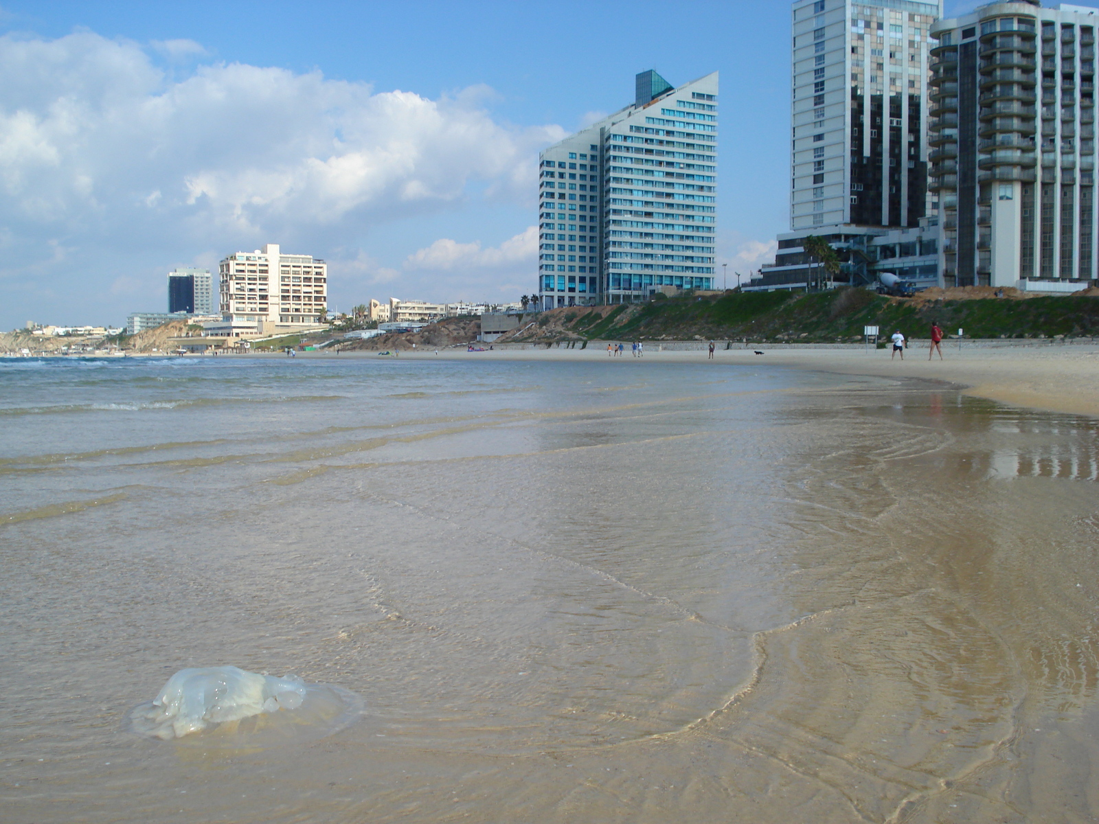 照片 以色列(Israel) 赫兹利亚(Herzliya) 2006-12 99