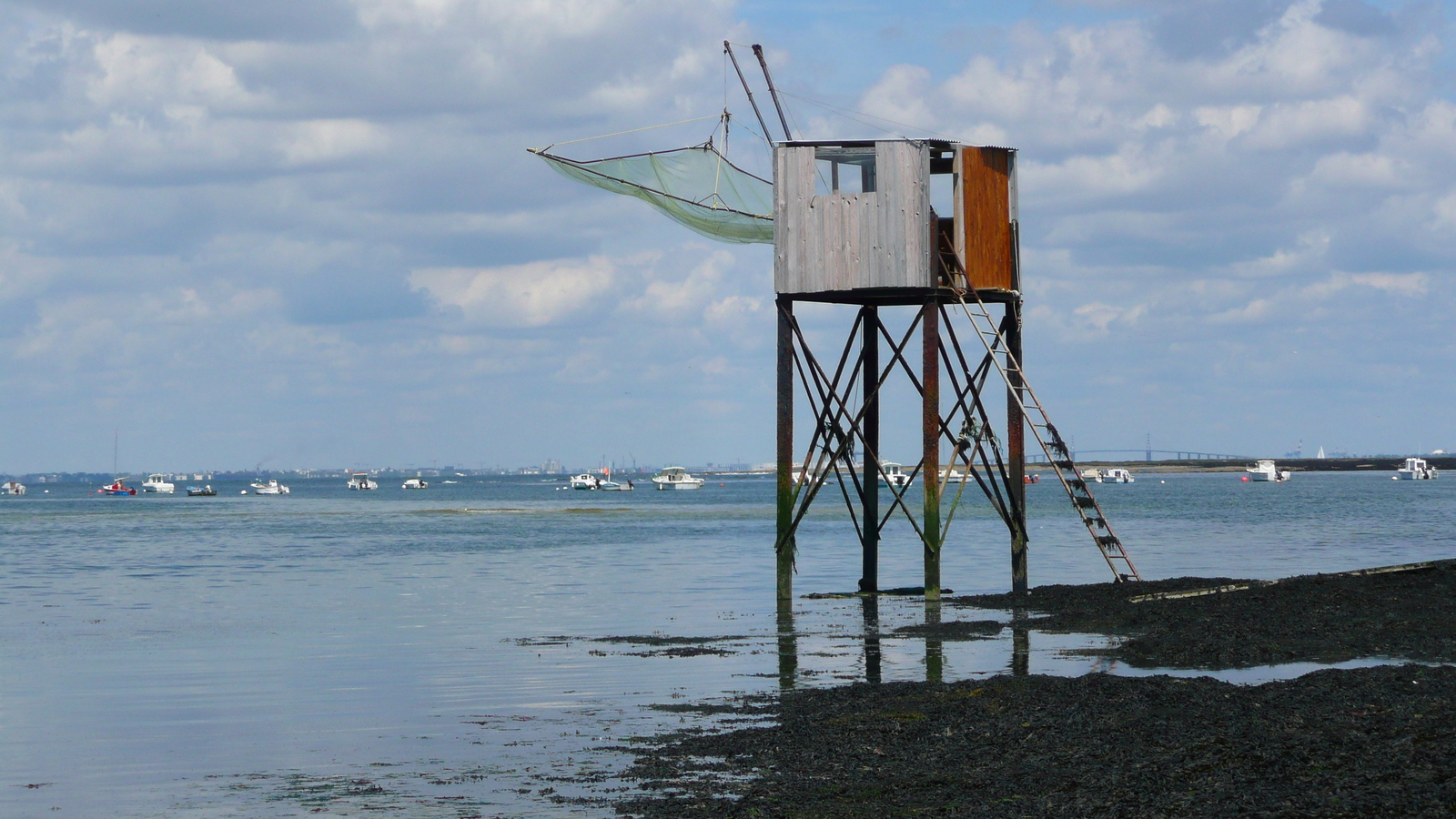 照片 法国(France) 普雷法耶(Prefailles) 圣吉尔达角至拉普雷(La pointe Saint Gildas to La Pree) 2007-08 21