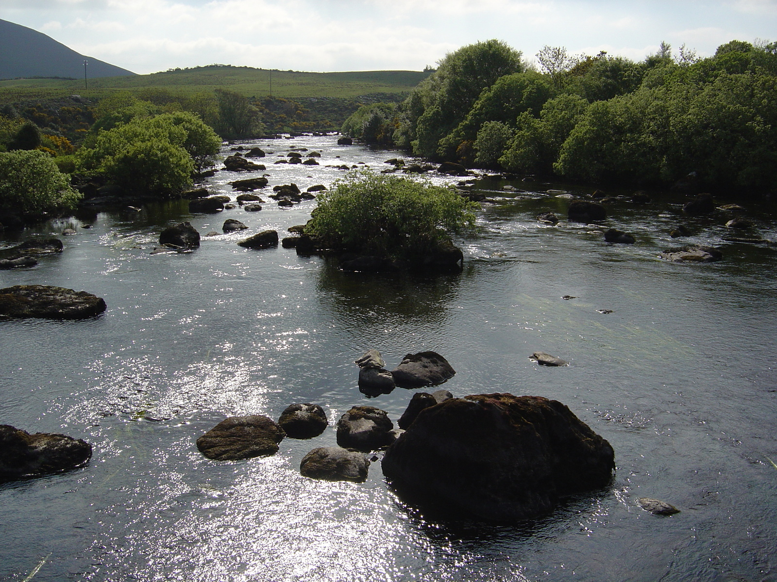 照片 爱尔兰(Ireland) 凯里郡(Kerry) 卡拉湖(Caragh Lake) 2004-05 30