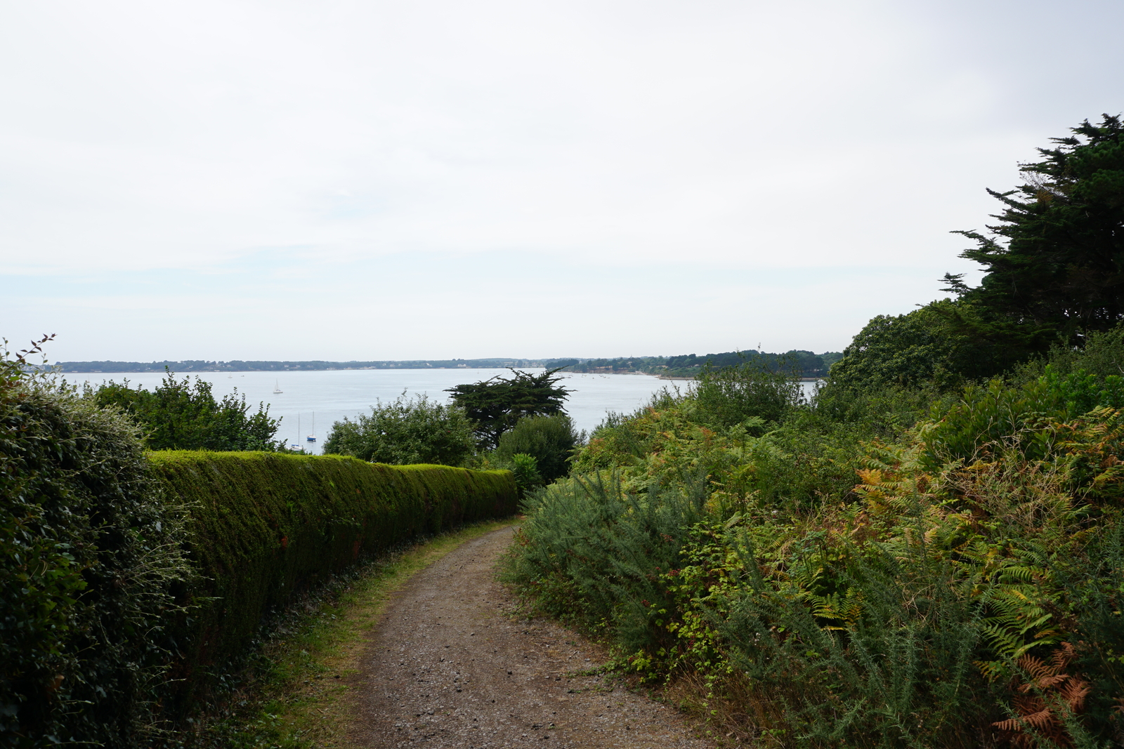 照片 法国(France) 僧侣岛(Ile-aux-Moines) 2016-08 84