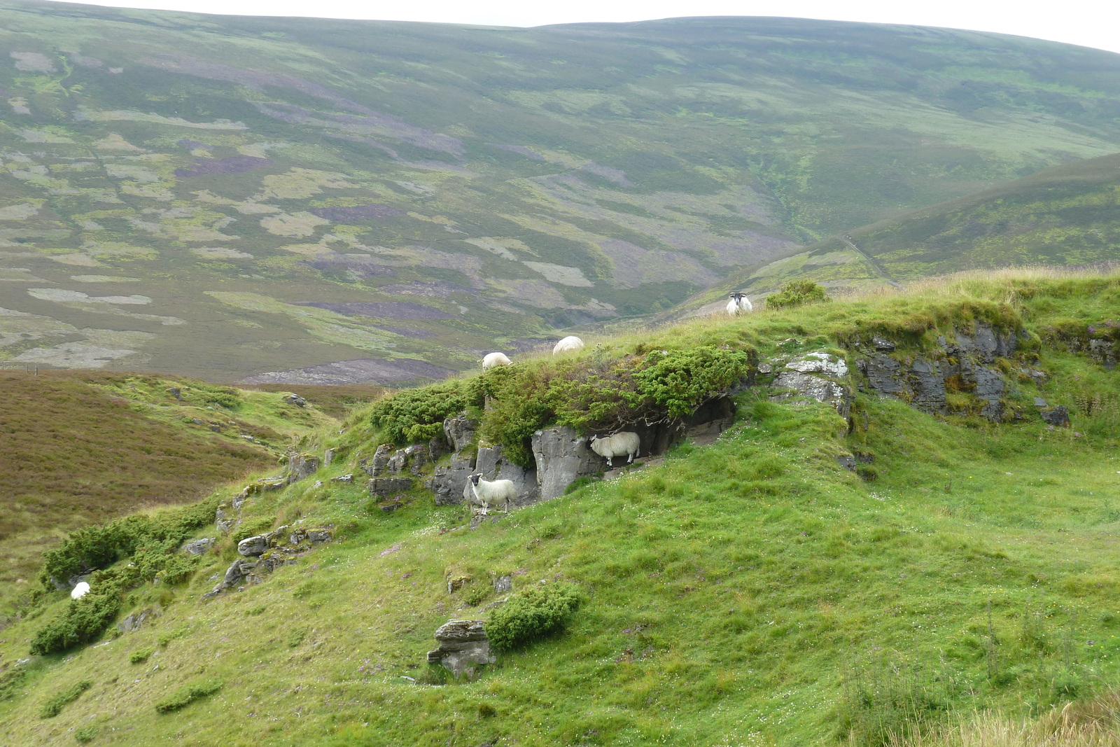 照片 英国(United Kingdom) 苏格兰(Scotland) 2011-07 221