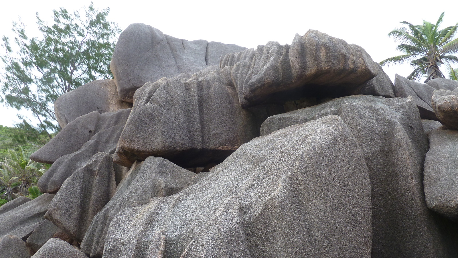 照片 塞舌尔(Seychelles) 拉迪格岛(La Digue) 2011-10 221