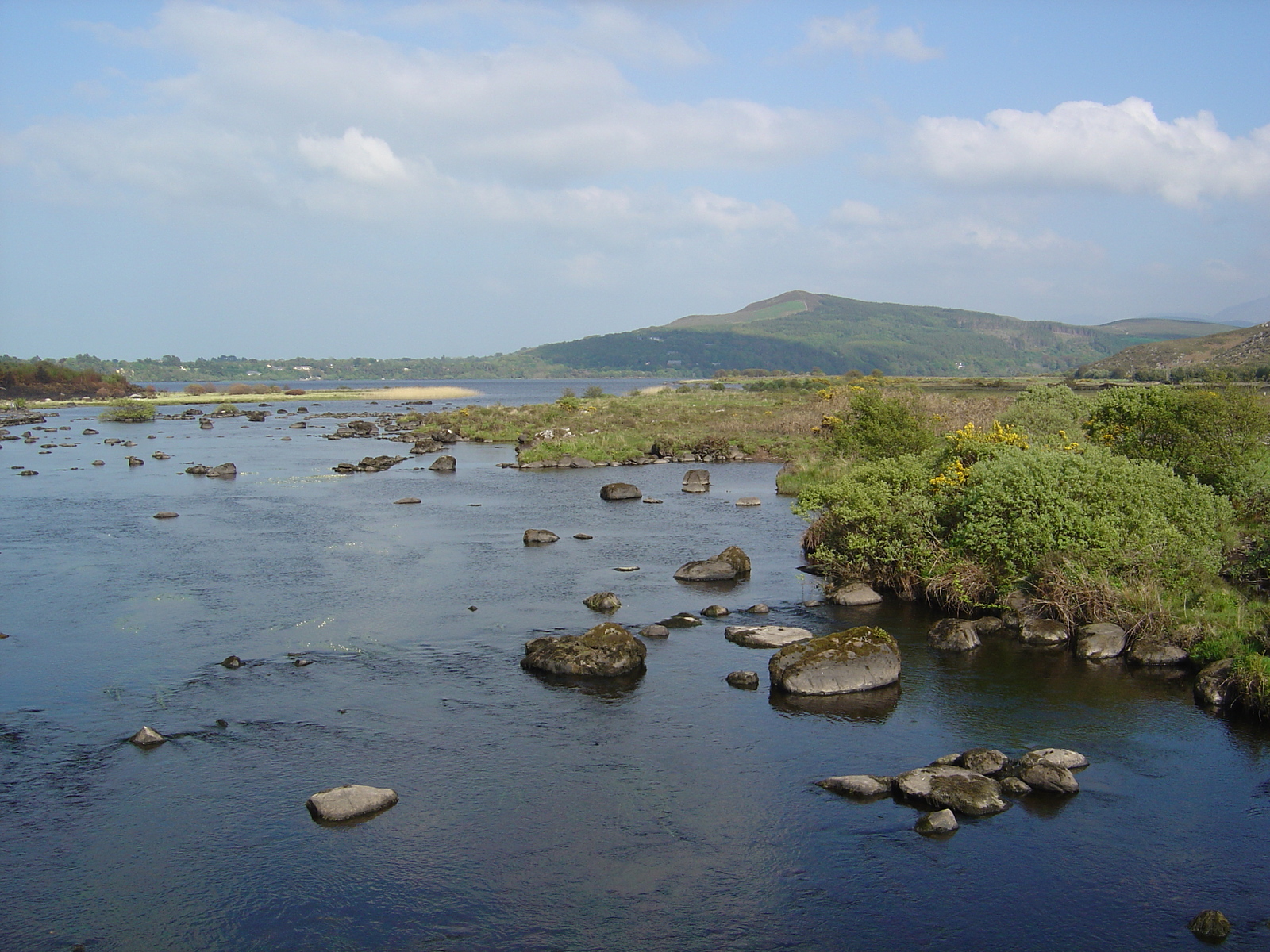 照片 爱尔兰(Ireland) 凯里郡(Kerry) 卡拉湖(Caragh Lake) 2004-05 14