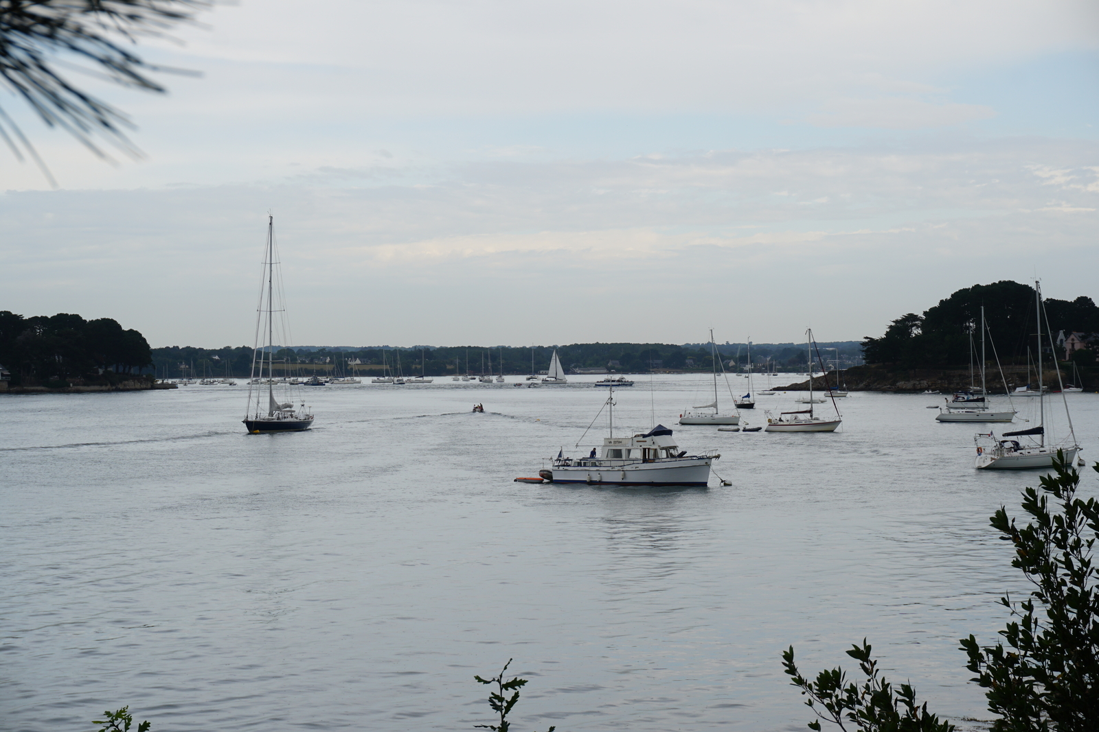 照片 法国(France) 僧侣岛(Ile-aux-Moines) 2016-08 97