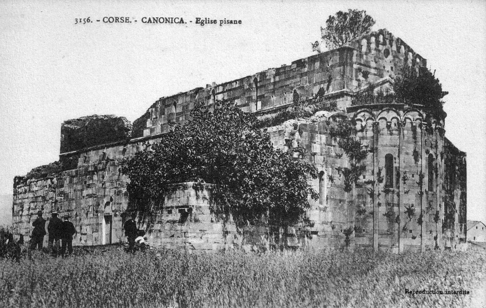 照片 法国(France) 科西嘉岛(Corsica) 老明信片(Old Postcards) 1900-01 342