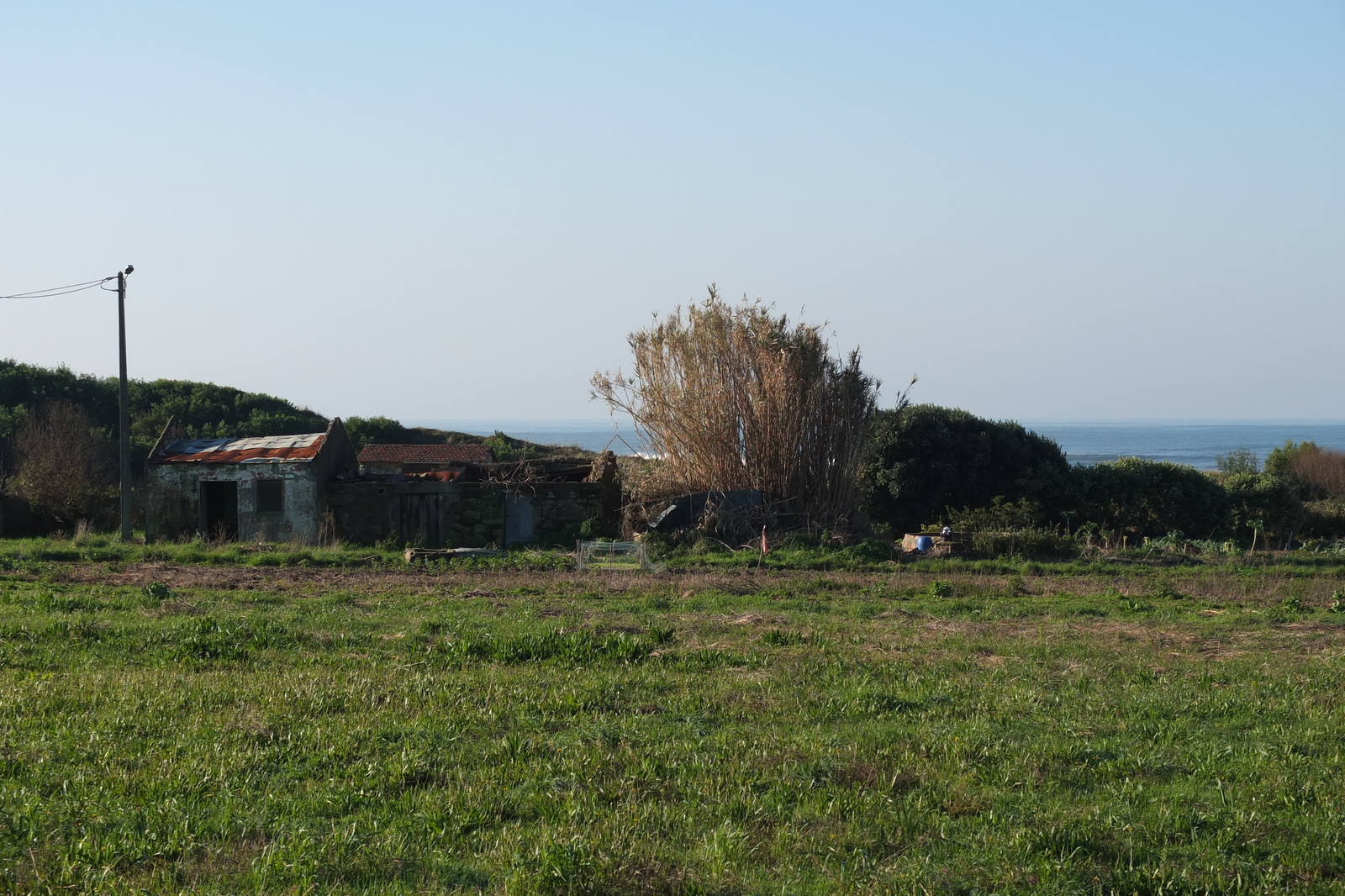 照片 葡萄牙(Portugal) 维亚纳堡(Viana do Castelo) 2013-01 143