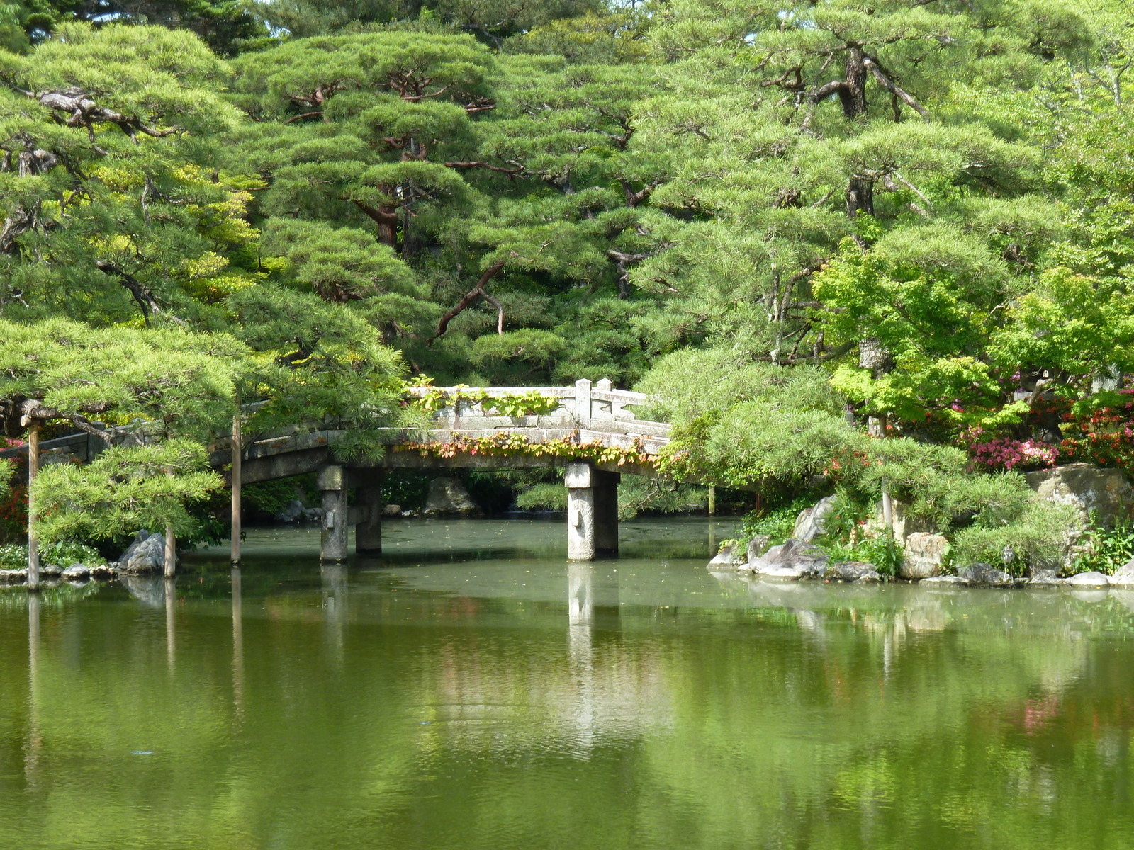 照片 日本(Japan) 京都(Kyoto) 京都御所(Kyoto Imperial Palace) 2010-06 79