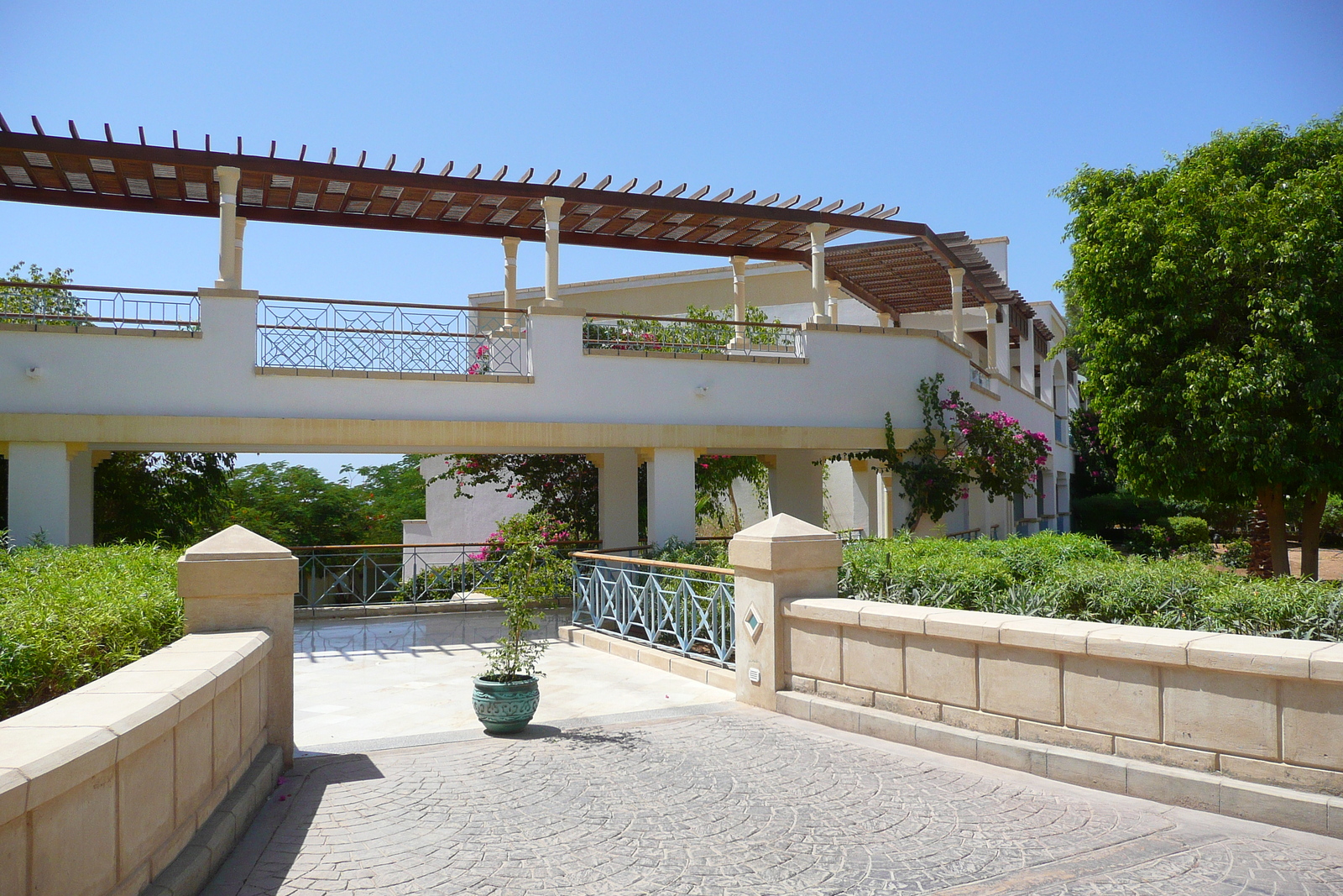 照片 埃及(Egypt) 沙姆沙伊赫(Sharm el Sheikh) 凯悦酒店(Hyatt Hotel) 2008-06 67