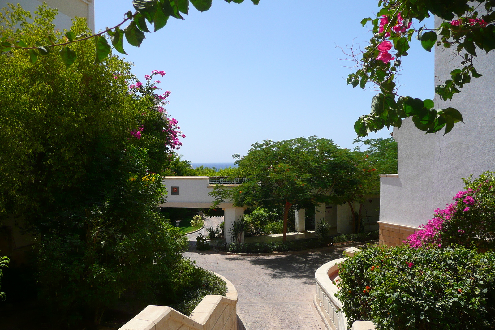 照片 埃及(Egypt) 沙姆沙伊赫(Sharm el Sheikh) 凯悦酒店(Hyatt Hotel) 2008-06 50