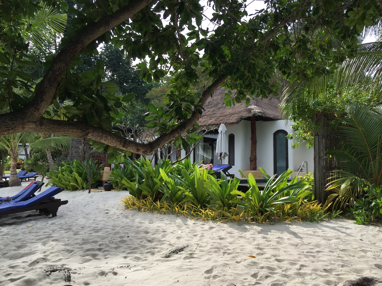 照片 泰国(Thailand) 沙美岛(Ko Samet) 2014-12 346