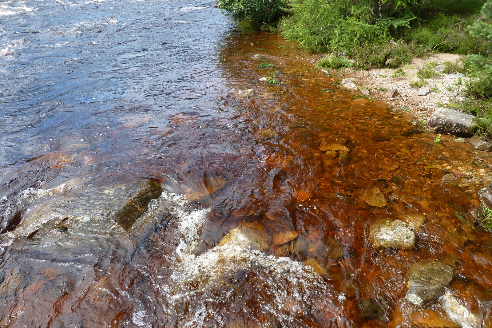 照片 英国(United Kingdom) 苏格兰(Scotland) 凯恩戈姆山国家公园(Cairngorms National Park) 因弗考尔德桥(Invercauld Bridge) 2011-07 6