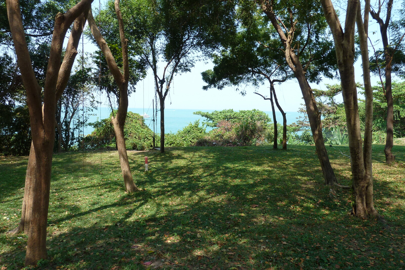 照片 泰国(Thailand) 芭提雅(Pattaya) 惬意海滩(Cosy Beach) 2011-01 10