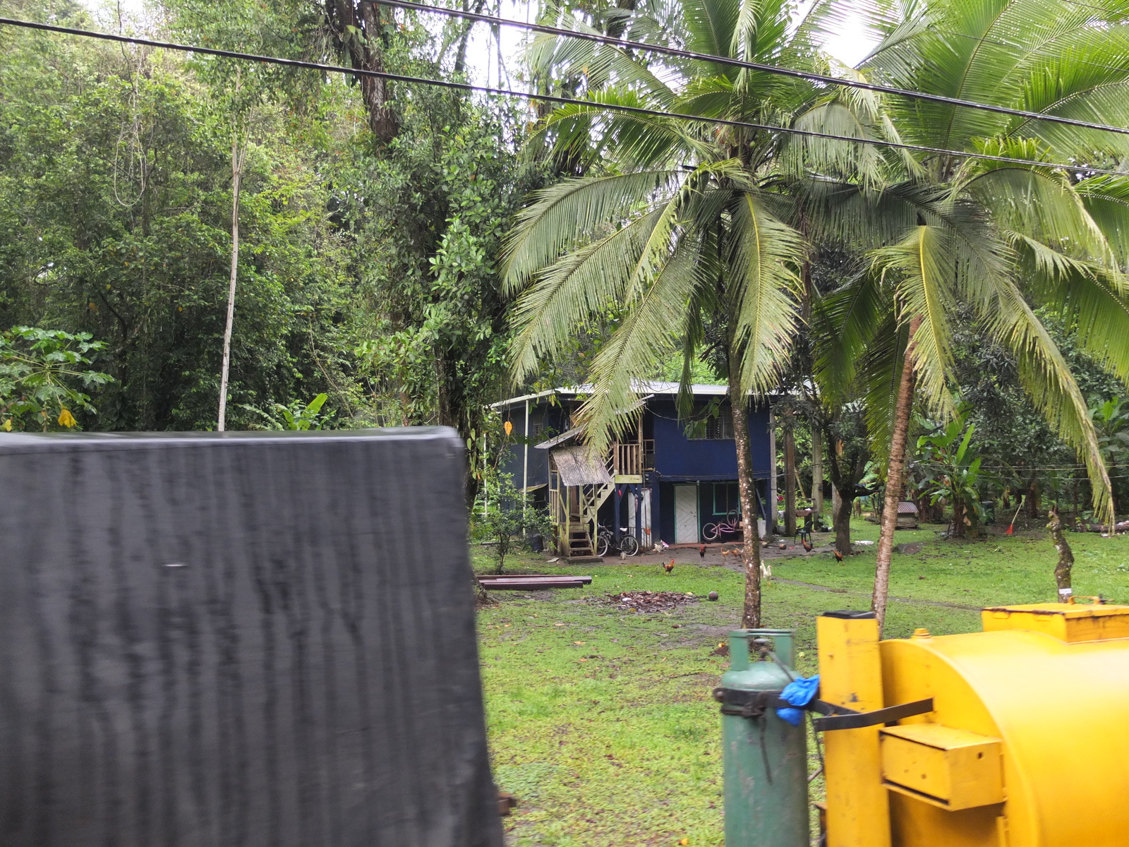 照片 哥斯达黎加(Costa Rica) 塔拉曼卡旧港(Puerto Viejo de Talamanca) 2015-03 121